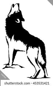 Learn how to capture this beauty by drawing a running wolf. Black White Paint Draw Wolf Illustration Stock Vector Royalty Free 453531421