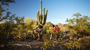 2022 arizona cactus cup international hockey tournament. Arizona Sonoran Desert Weekend Mountain Biking Rei Adventures