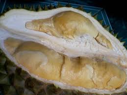 Baner unik durian kocok : Durian Bhineka Bawor Ide Kreatif Pedesaan Di Banyumas Dikabeast