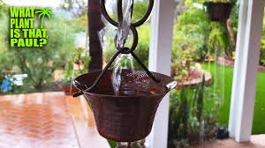 Apr 19, 2019 · make this copper ring diy rain chain using copper tubing. My Rain Chain S Make Wet Days A Lot More Enjoyable What Are They And Should You Get One Youtube