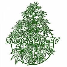 Low iron 45 degree cut glass learn more. Max1200 By Pro Max Grow Grow Lamp Lighting Information Growdiaries