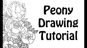 Maybe you would like to learn more about one of these? Peony Drawing Tutorial Youtube