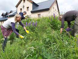 Jiří prskavec (mělník, 18 de mayo de 1993) es un deportista checo que compite en piragüismo en la modalidad de eslalon. Sumava Bojuje S Lupinou Ktera Nici Jine Vzacne Rostliny Plzen