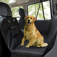 Pin Auf Dogs