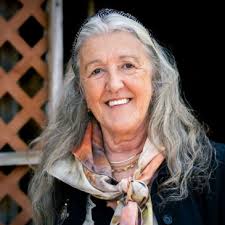 Comité Planificador