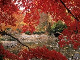 Autumn Fall Desktop Backgrounds Desktop Wallpaper Fall Nature Photography