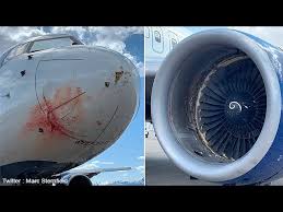 Survol du plus gros avion du monde : Atterrissage D Urgence Apres Un Choc Aviaire Youtube