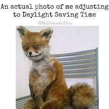 Me Adjusting To Daylight Saving Time It S Going Really Well I Think Daylight Saving Time Spring Forward Funny Meme Funny Memes Work Memes Work Humor