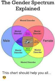 the gender spectrum explained mental disorder mental mental