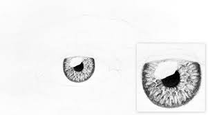 Drawing realistic tiger eye with pencil. How To Draw A Realistic Eye