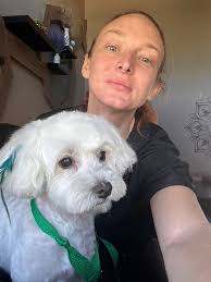 Lost dog in traffic needs grooming