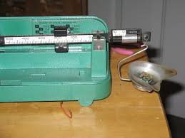 Gold from scrap components electronics. Gold Recovery 8 Steps With Pictures Instructables