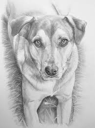 Check spelling or type a new query. 85 Simple And Easy Pencil Drawings Of Animals For Every Beginner Dog Pencil Drawing Dog Paintings Pencil Drawings Of Animals