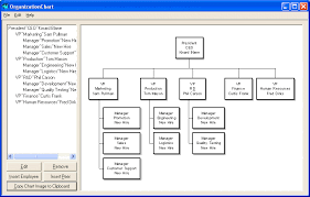 Business Plan Software Organisation Chart