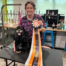 In an effort to not let cancer keep her down, Tiffany is working towards  her NCMG designation (Nationally Certified Master Groomer) a portion of the  testing for the program is done in