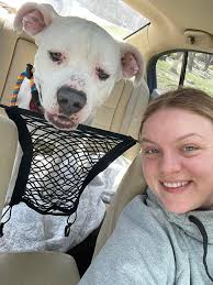 I think he wants some ice cream.