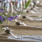 Seasonal Long Lunch with Matt Golinski – event image