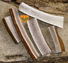 How to cut deer antlers off the head step 1. Staglers 100 Natural Deer Antler Lazy Dog Chew Large Staglers