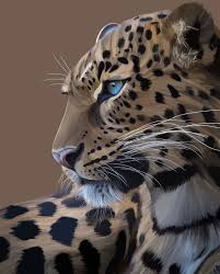 Maggy Schnetler On Instagram Rawr Made With Procreate Art Illustration Procreate Leopard Rawr Animal Wild Drawing S Cheetah Animal Rawr Animals