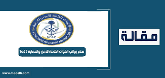 القوات الخاصة للأمن والحماية، أحد القطاعات العسكرية في المملكة العربية السعودية، وهي تابعة لرئاسة أمن الدولة، تعمل عل حماية العديد من المواقع الحيوية في المملكة والمشاريع الجديدة. Dvt6i9ouxjokwm