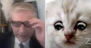 But here was rod ponton, a county attorney in presidio county, texas, unable to figure out how to turn off the cat filter on his zoom call during a hearing on tuesday in texas' 394th judicial. Lawyer Joins Zoom Call With Cat Filter Video Popsugar Tech