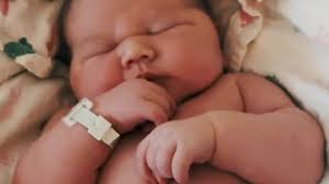 Girl, 8, hit by police truck that officials say rolled backward into  Chipotle patio