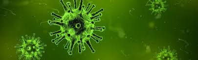 Image result for Virus