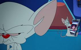Can you remember the moment you knew your significant other was the one? Finaler Trailer Zum Offiziellen Restart Der Animaniacs Und Pinky Brain