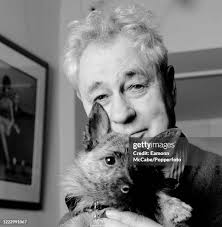 34 45 Magnum Stock Photos, High-Res Pictures, and Images