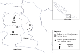 Gambar peta jawa tengah jenis atlas beserta keterangan dataran, kota, gunung, lalu lintas dan perbatasan. Gambar 1 Peta Lokasi Penelitan Di Kabupaten Bogor Sukabumi Dan Download Scientific Diagram