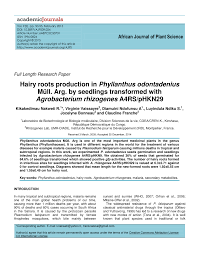 Image result for Phyllanthus odontadenius