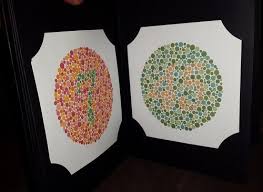 Ishihara Test Book For Colour Defiency 24 Plates