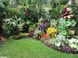 Small Tropical Garden Design Ideas Tropical Garden Design Small Tropical Gardens Tropical Landscaping