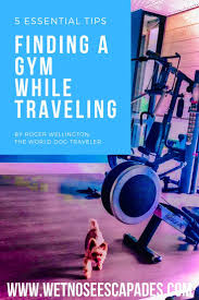 5 Tips On Finding A Gym While Traveling In 2020 Travel Workout Find A Gym Healthy Travel