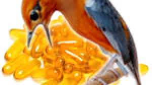 Ini juga bisa digunakan sebagai suspensi dasar untuk suntikan dan salep. Terapi Minyak Ikan Agar Bulu Burung Mulus Selepas Ngurak Om Kicau