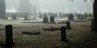 Ziarah kubur sering dilakukan oleh umat muslim ke makam para wali allah. 8 Adab Ziarah Kubur Sesuai Sunah Nabi Patut Diketahui Merdeka Com