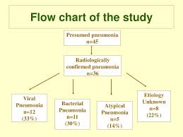 Pathophysiology Of Shock Flow Chart Pathogenesis Septic
