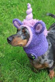 Knitting Pattern Dachshund Unicorn Hood Dog Hat Dogs Pet Etsy In 2021 Pet Costumes Dog Clothes Diy Dog Gifts