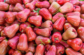 Like the hidden rose, pink pearls need to be purchased and refrigerated asap after harvest, and consumed within a week or hidden rose is a green apple with pink flesh that originated in oregon. 5 Reasons The Jambu Is An Under Appreciated Fruit Fruitwerkz