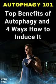 How To Induce Autophagy Fastdiet What Is Autophagy Water Fasting Diabetes In Children