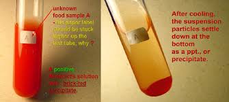 Food Test 2 Benedicts Test For Reducing Sugars Biology