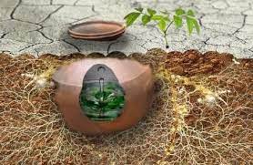 Permaculture Magazine Clay Pot Irrigation Irrigation Clay Pots