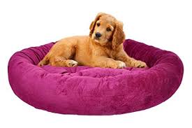Visit the post for more. Moodmax Round Velvet Sofa Bed For Dogs And Cats Large Purple Buy Online In Andorra At Andorra Desertcart Com Productid 64774390