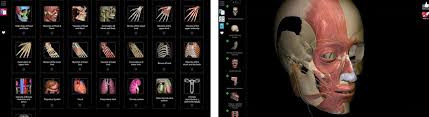 For those who do not specialize in medicine, common knowledge seems to be enough. Anatomy Learning 3d Anatomy Atlas Apk Download For Windows Latest Version 2 1 322