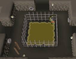 Once it's stuffed, it can then be hung in a poh using the construction skill. Oubliette Osrs Wiki
