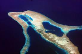 Your privacy is important to us. Island Of The Blue Dolphins Timeline Timetoast Timelines