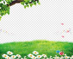 حديقة التوضيح ملصق الحذاء الأخضر الطازج ورقة والتصوير والرياضة Png