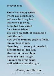 The words loss quotes me quotes quotes for death who am i quotes i miss you quotes 65 best grief quotes to help someone cope with loss. 33 Dog Hair Removal Ideas Dog Hair Removal Dog Hair Pet Loss Grief