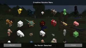 Morph mod 1.17.1/1.16.5/1.12.2 is a great mod that will enable you to see the other side of minecraft. Planetaminecraft Com Wp Content Uploads 2017 02