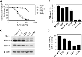 Image result for LDH